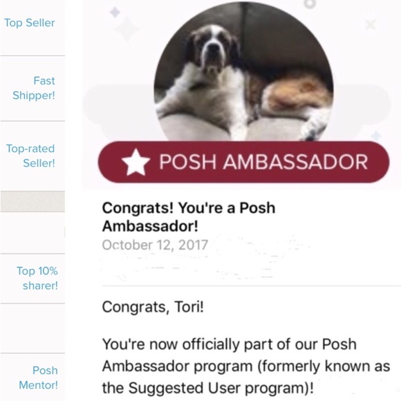 Ambassador 2 Top Rated Seller Sharer Mentor Fast Shipper - Picture 4 of 9